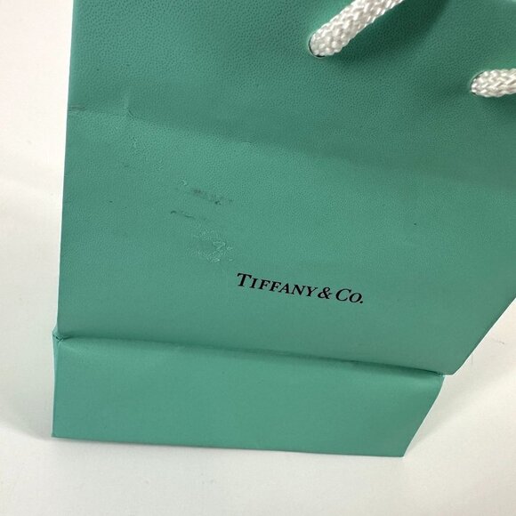 Tiffany & Co. Small Bag - Picture 5 of 10